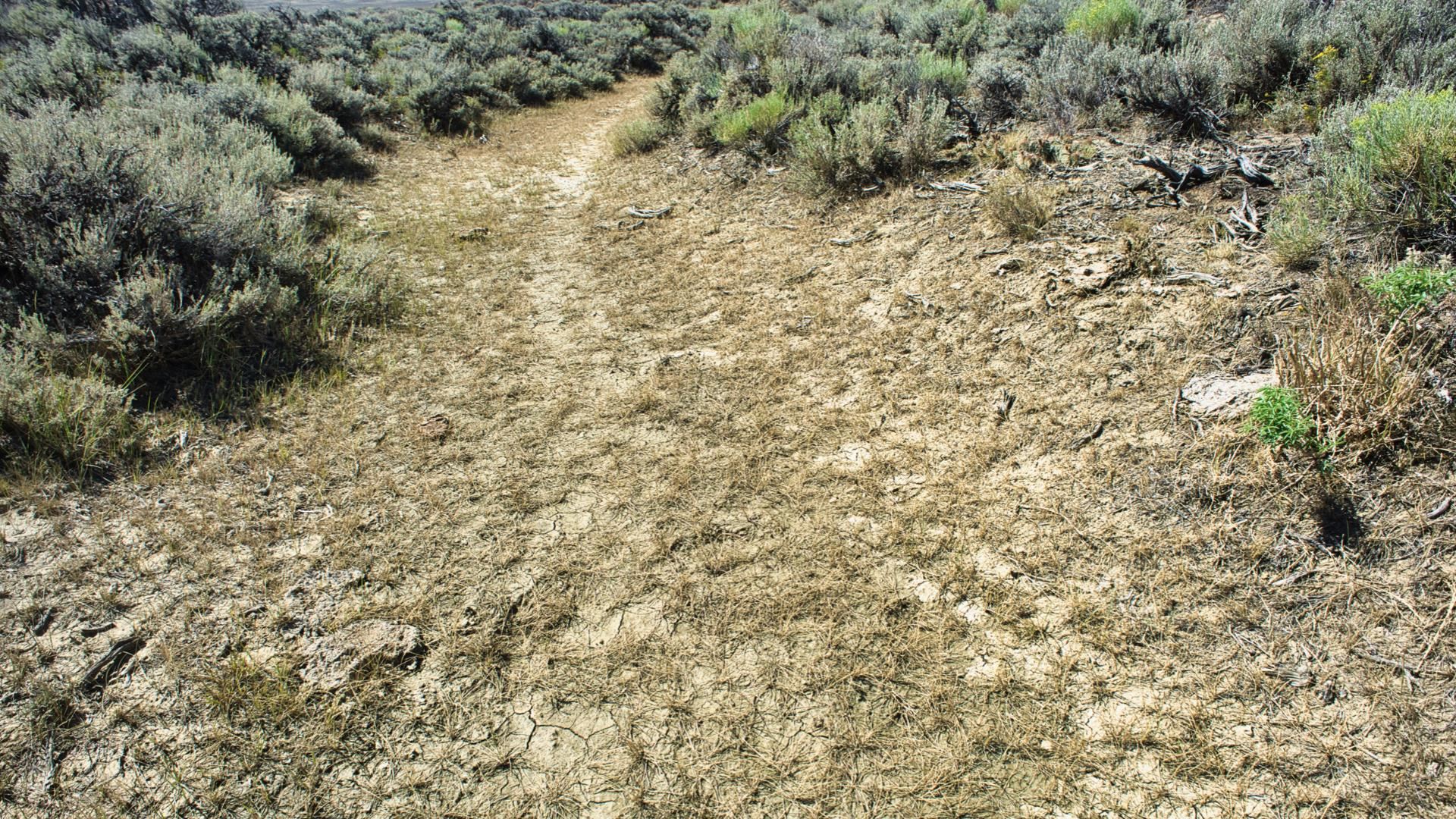 2303 Blm Road Rawlins, WY 82301 - Photo 47 of 49