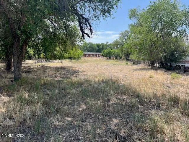 a view of open space with trees all around