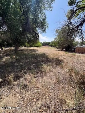 a view of dirt yard with a large tree
