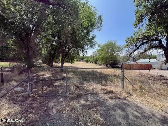 a view of dirt yard with a large tree