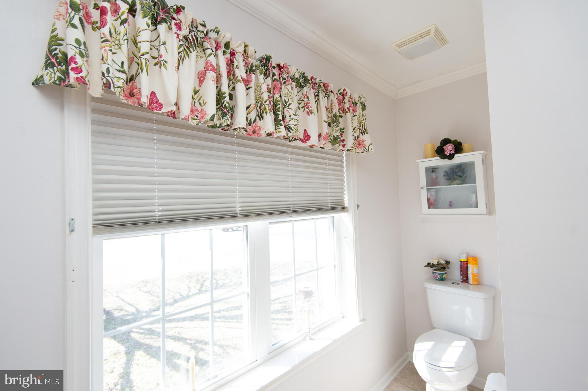 9 Holly Terrace Cambridge, MD 21613 - Photo 34 of 49 a bathroom with a window and flowers
