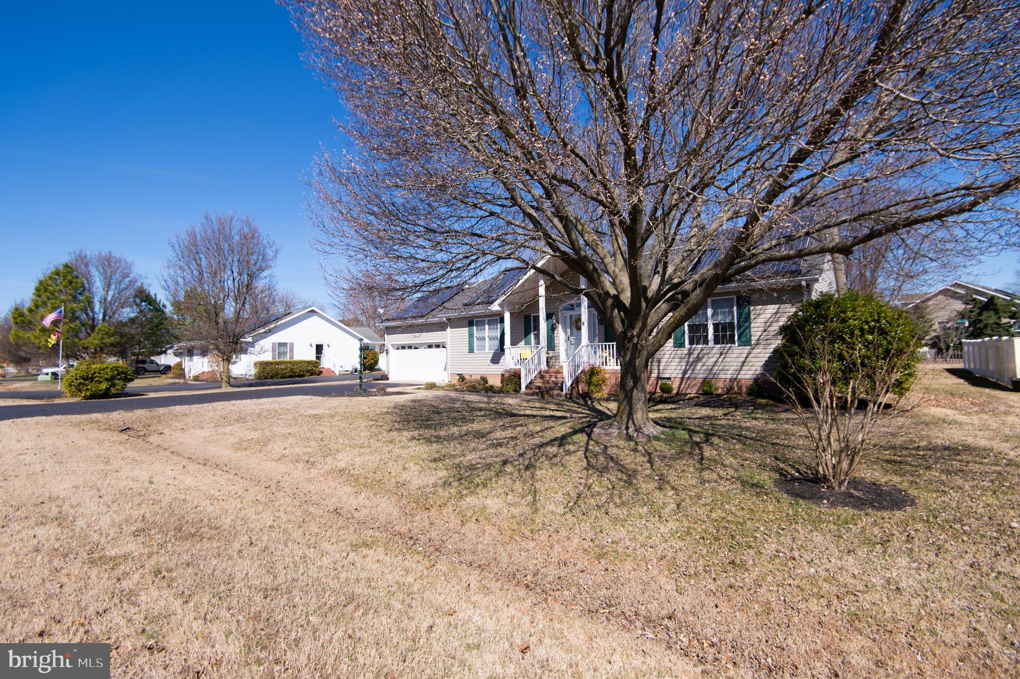 9 Holly Terrace Cambridge, MD 21613 - Photo 48 of 49 a view of a street with a tree