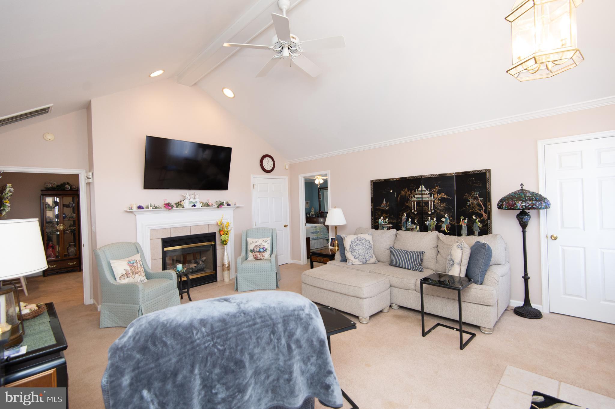 9 Holly Terrace Cambridge, MD 21613 - Photo 6 of 49 a living room with furniture a fireplace and a flat screen tv