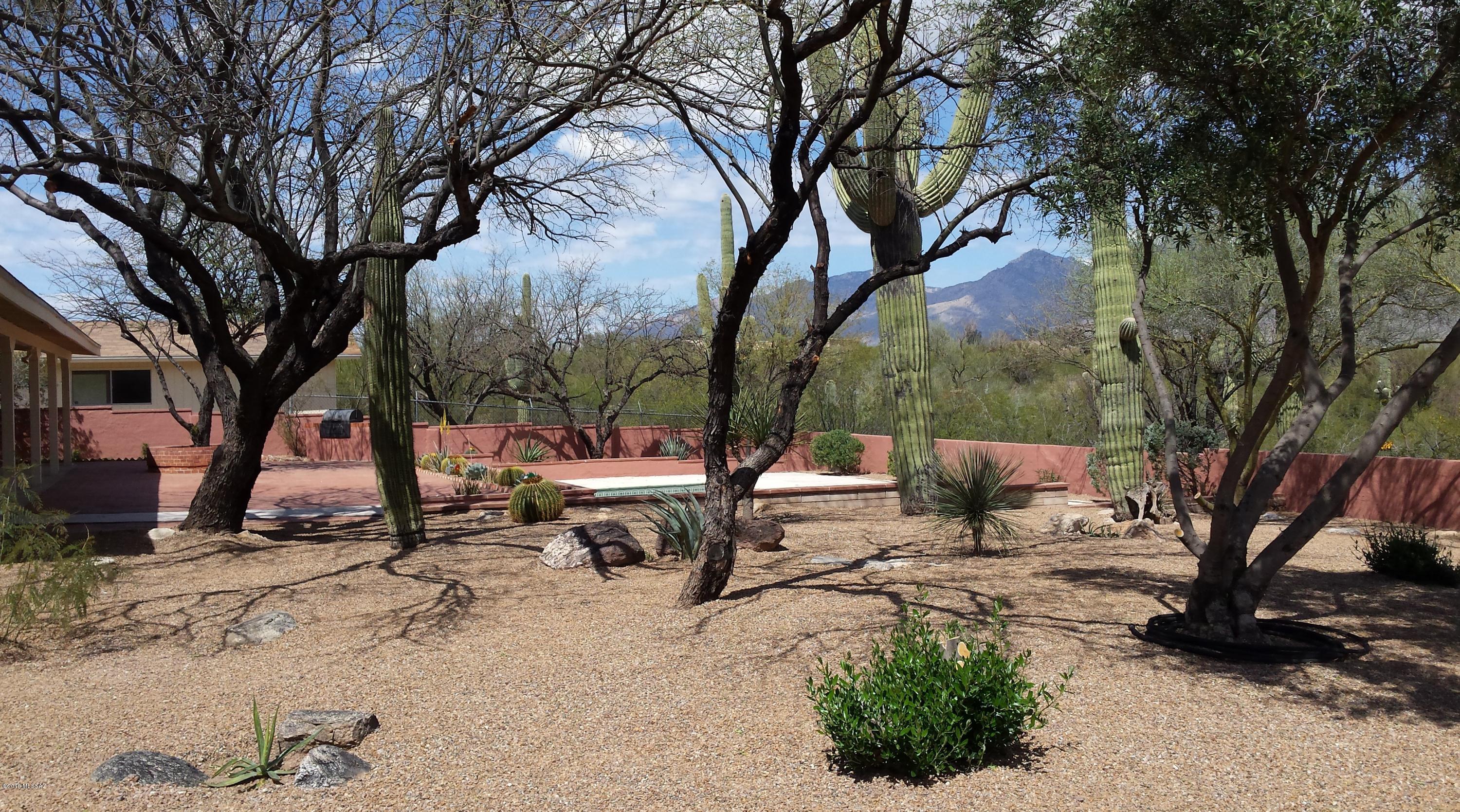 10821 East Fort Lowell Road Tucson, AZ 85749 - Photo 4 of 39 Gallery Image 4