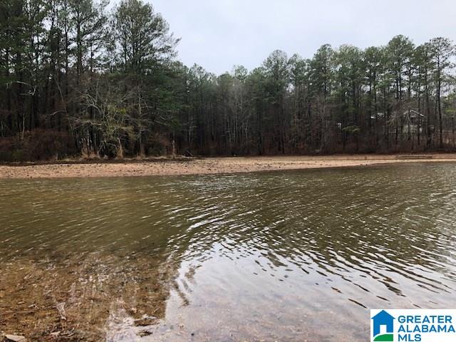 0 Lakeside Lane, Unit 31 Alpine, AL 35014 - Photo 19 of 42
