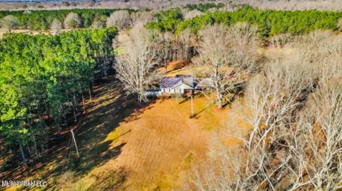 1039 Hall Lane Raymond, MS 39154 - Photo 3 of 28 IMG_1211