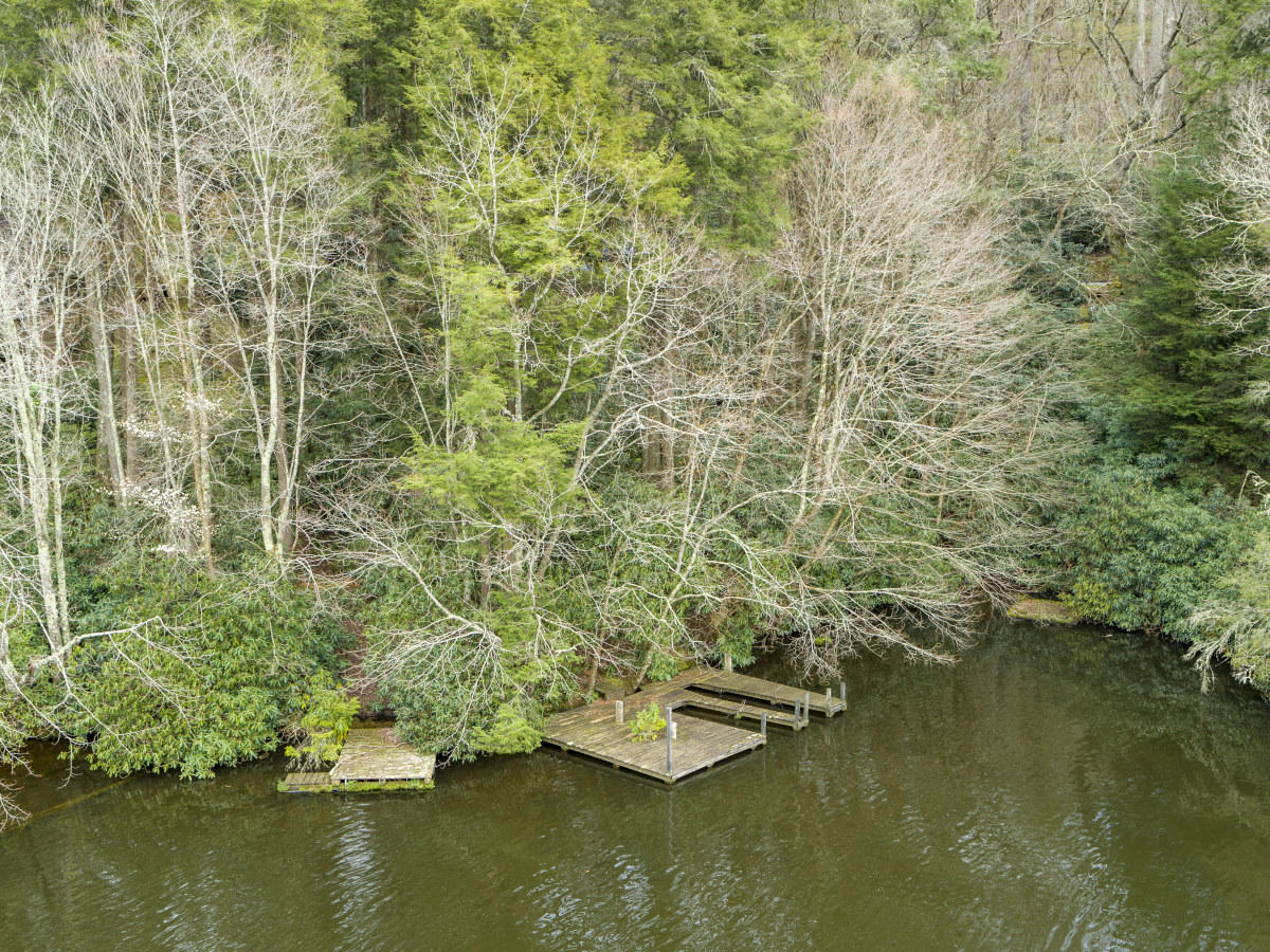 318 Ripshin Private Road Roan Mountain, TN 37687 - Photo 50 of 84 RipShinAerials--3