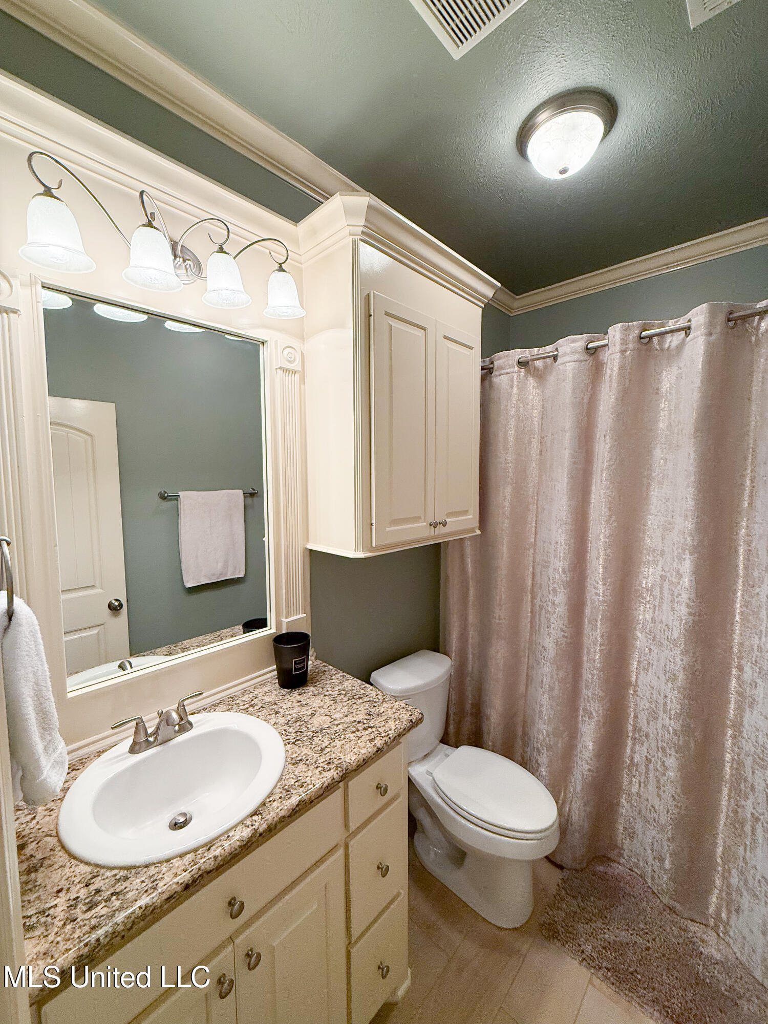 313 North Fall's Crossing Madison, MS 39110 - Photo 23 of 35 IMG_9377