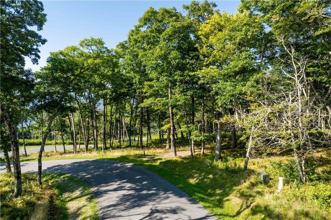 8 Chappell Farm Road Banner Elk, NC 28604 - Photo 8 of 24 Gallery Image 8