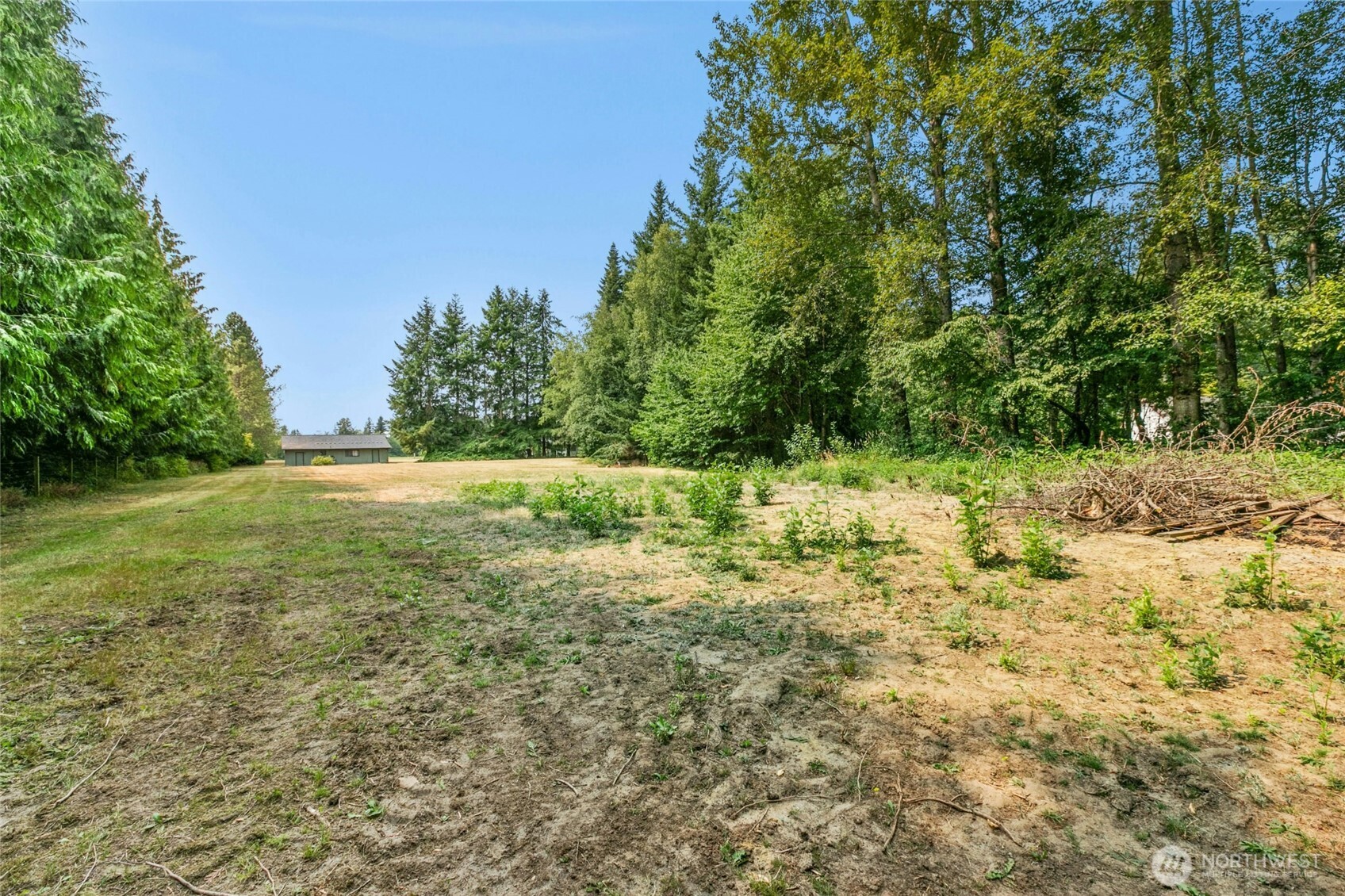 2477 Jess Road Custer, WA 98240 - Photo 33 of 40 a backyard of a house with lots of green space
