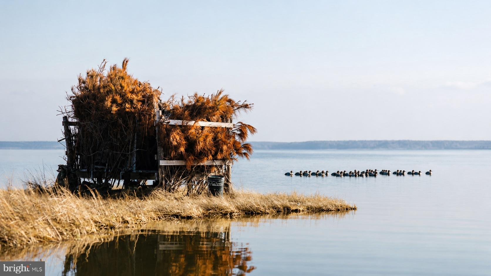 1713 Doeller Road Fishing Creek, MD 21634 - Photo 79 of 96