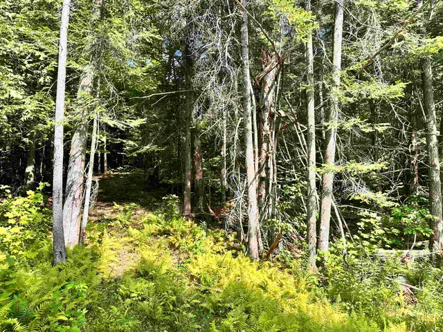 $149,000 | 432 Glover Road, Groton, VT 05046