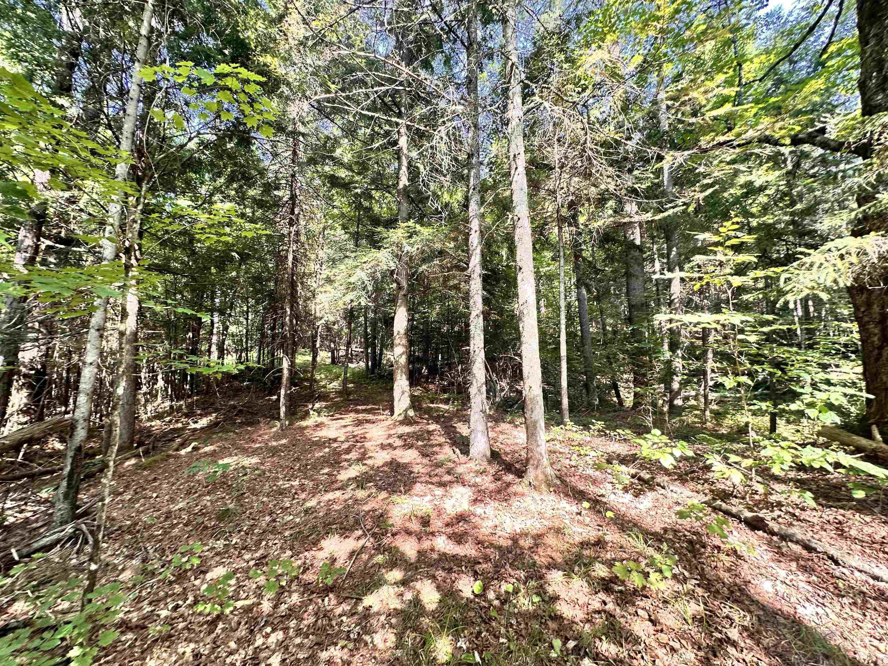 432 Glover Road Groton, VT 05046 - Photo 18 of 22