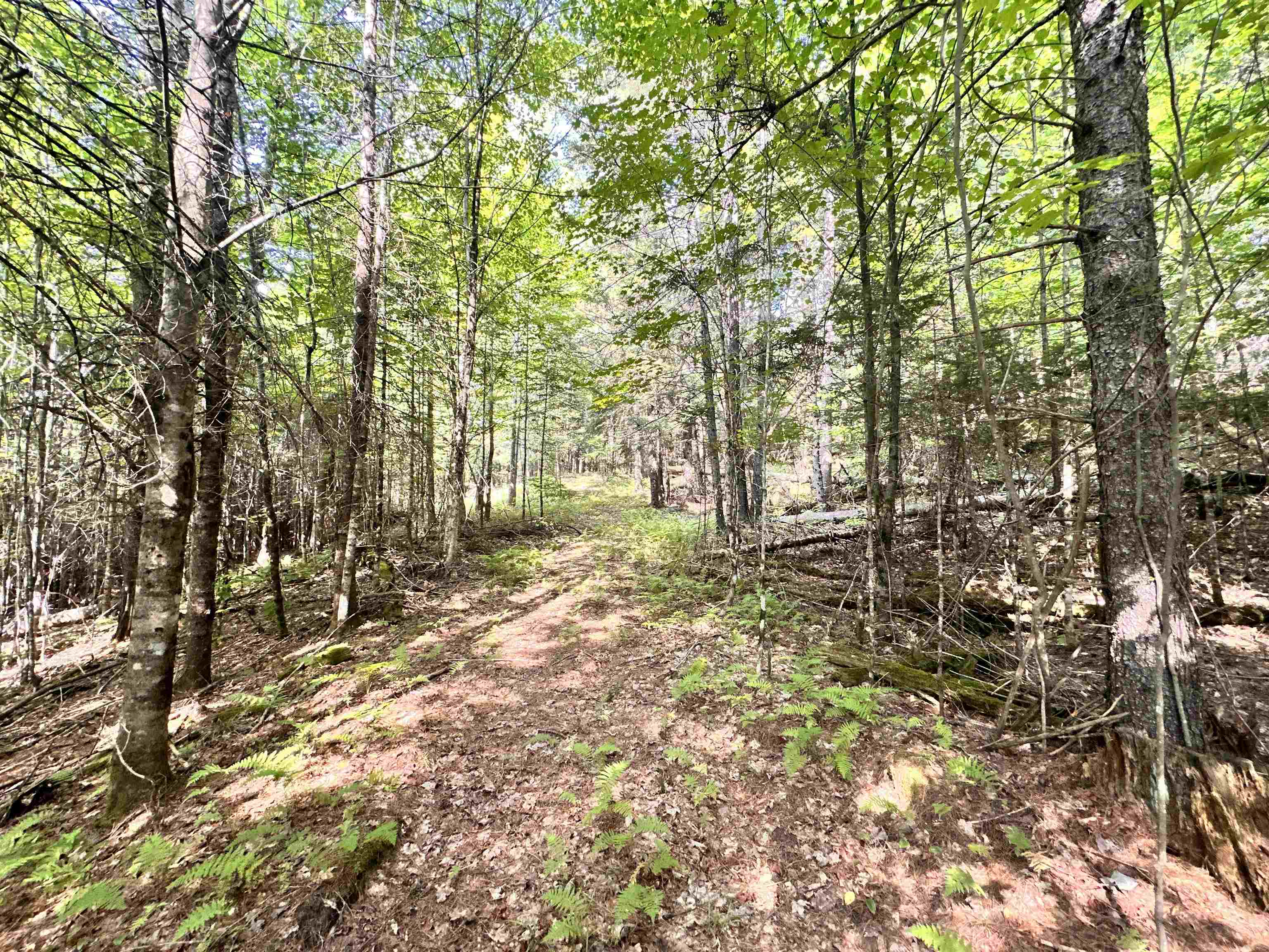 432 Glover Road Groton, VT 05046 - Photo 19 of 22