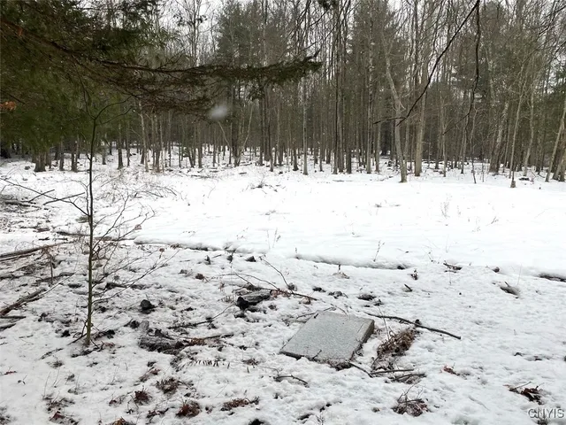 $39,900 | 1892 County Road 18, Alma, NY 14895