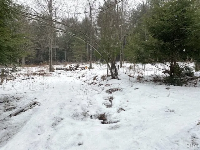 $39,900 | 1892 County Road 18, Alma, NY 14895