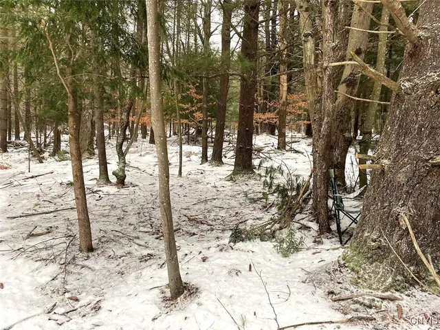 $39,900 | 1892 County Road 18, Alma, NY 14895