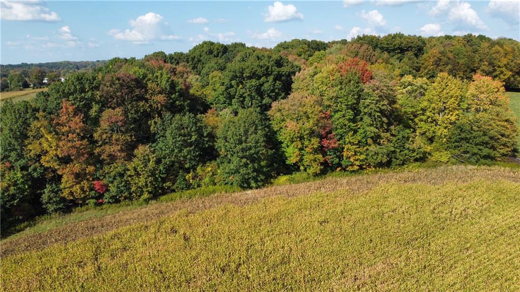 628 Beaver Dam Road Butler, PA 16001 - Photo 2 of 3 Gallery Image 2