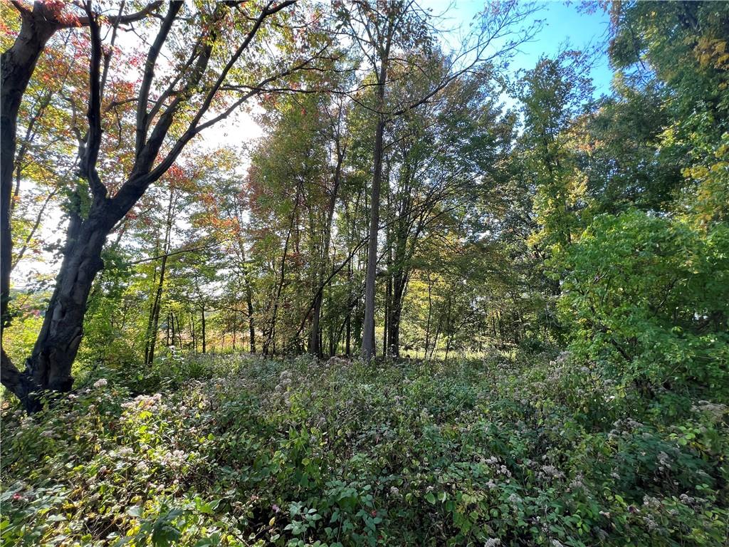 628 Beaver Dam Road Butler, PA 16001 - Photo 3 of 3 Gallery Image 3