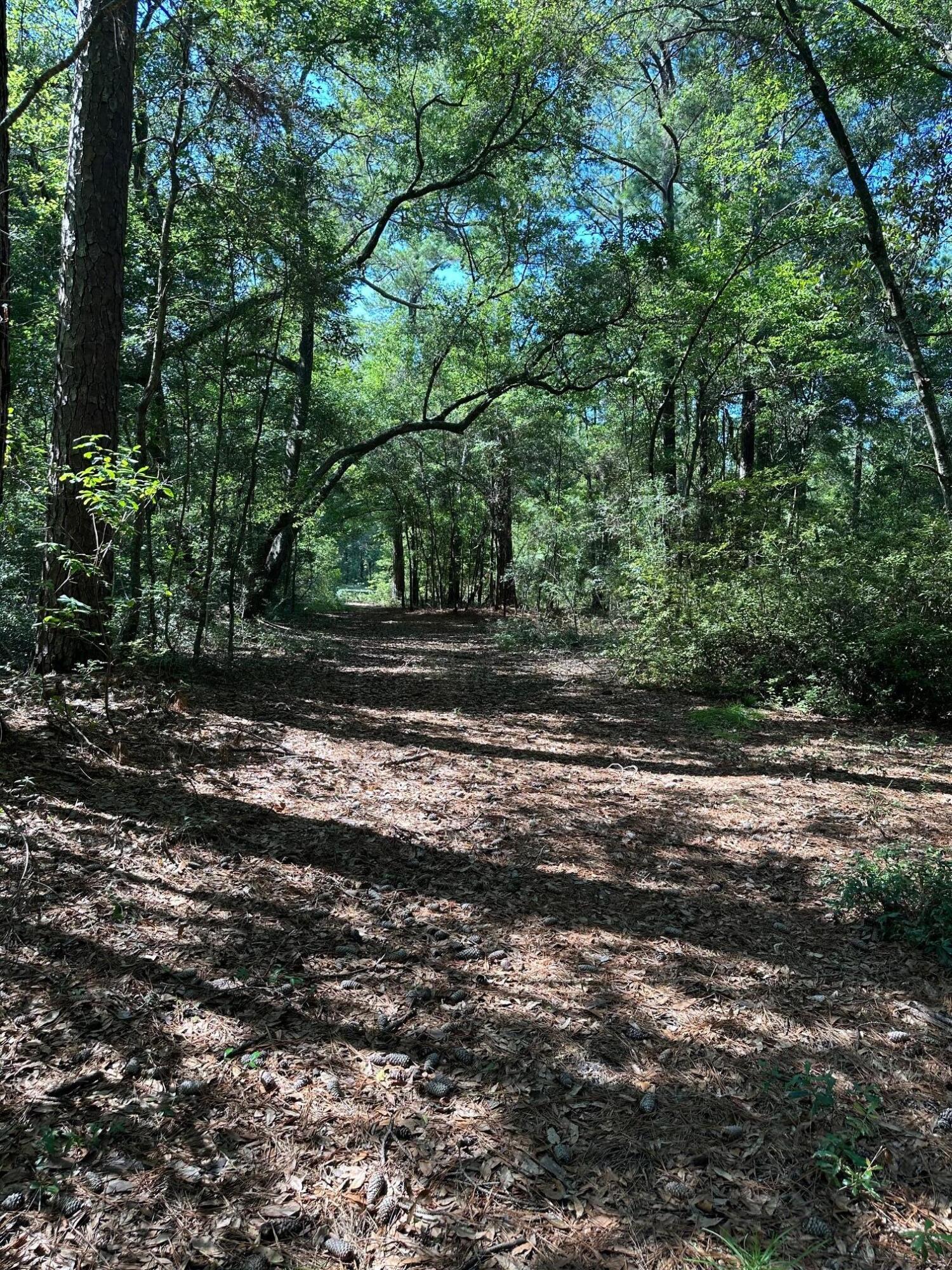 6371 Bears Bluff Road Wadmalaw Island, SC 29487 - Photo 2 of 6 IMG_5608