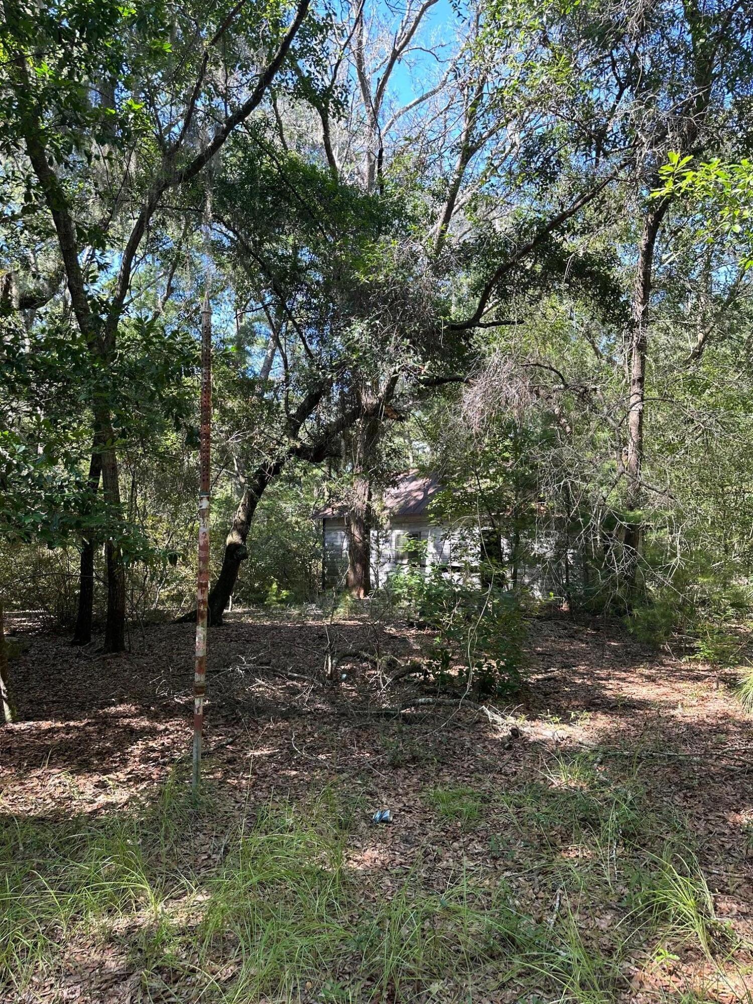 6371 Bears Bluff Road Wadmalaw Island, SC 29487 - Photo 6 of 6 IMG_5610 (1)