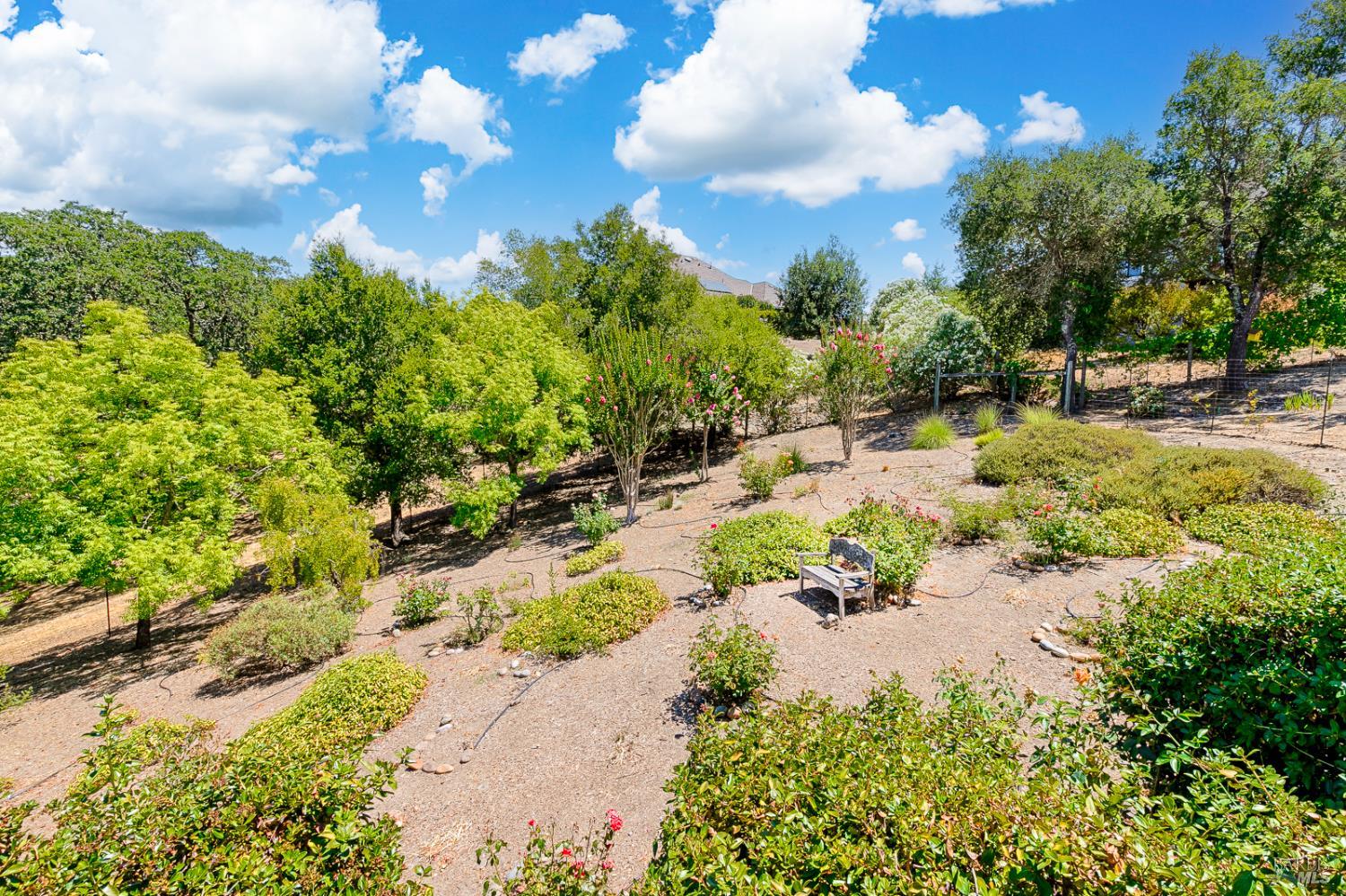 6271 Meadowstone Drive Santa Rosa, CA 95409 - Photo 3 of 24 a view of a yard with plants and trees