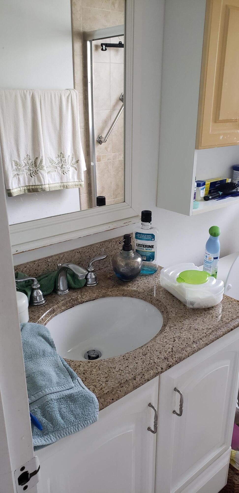 271 Fanshaw G Boca Raton, FL 33434 - Photo 14 of 16 Bathroom