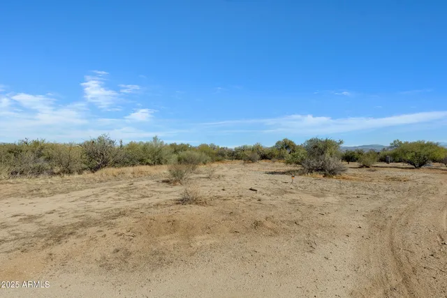 a view of a dry yard with trees