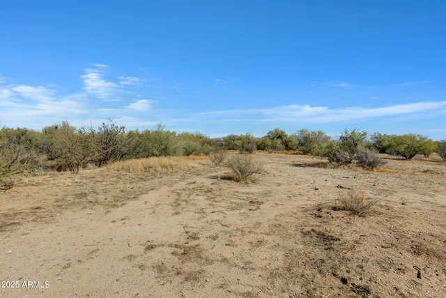 a view of a dry yard with wooden fence