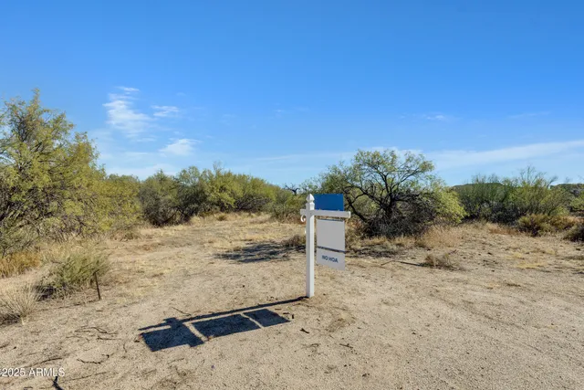 a view of a dry yard with wooden fence
