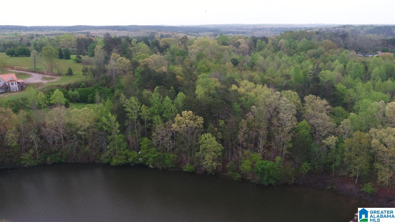 0 Dime Road, Unit 1 20 Haleyville, AL 35565 - Photo 6 of 14