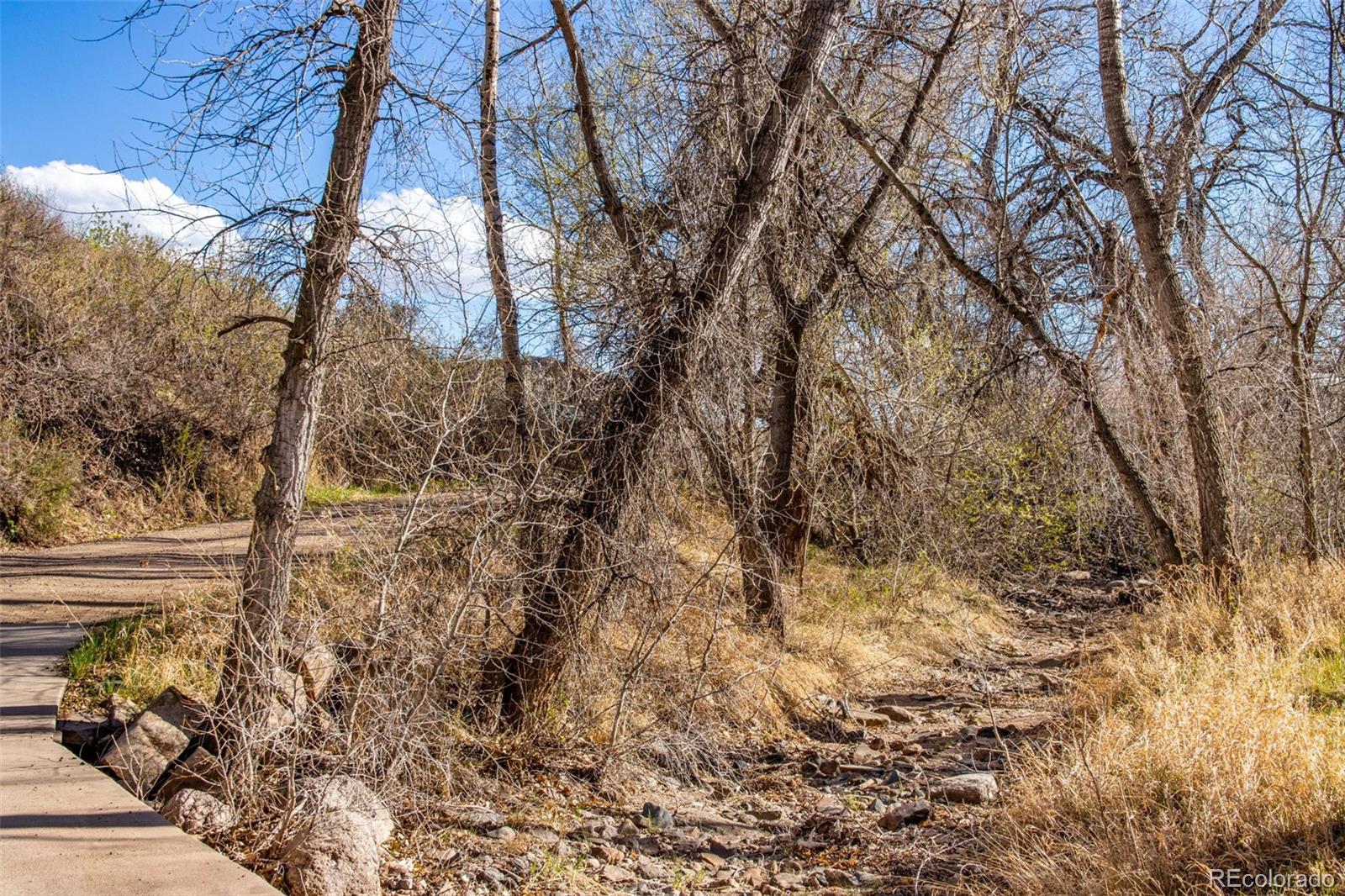 7050 Milner Mountain Ranch Road Fort Collins, CO 80526 - Photo 44 of 50 a backyard of a building
