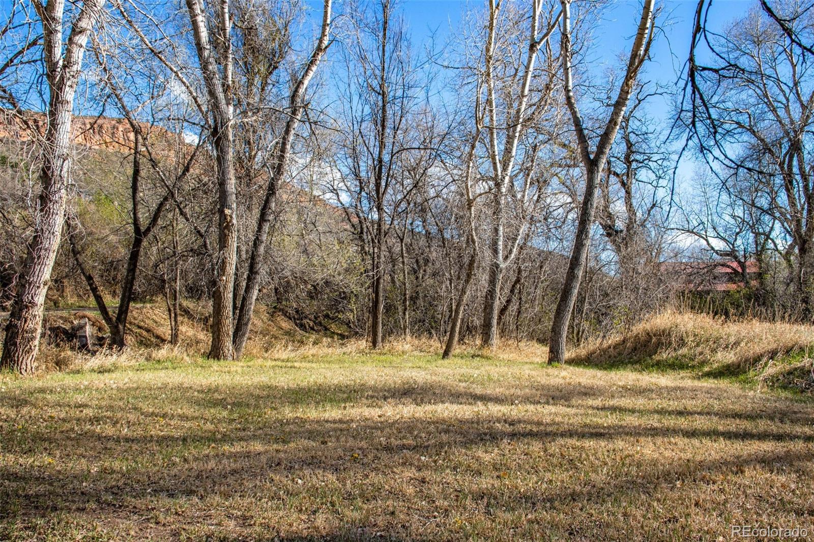 7050 Milner Mountain Ranch Road Fort Collins, CO 80526 - Photo 50 of 50 a view of yard covered with snow