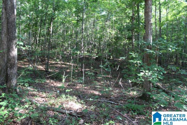 1 Benefield Gap Road Attalla, AL 35954 - Photo 28 of 50