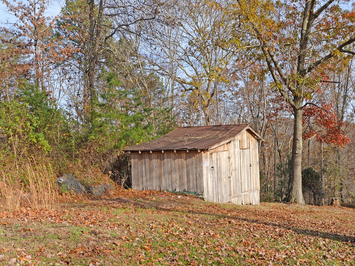 234 Evans Road Kingston, TN 37763 - Photo 12 of 12 a backyard of a house with large trees and wooden fence