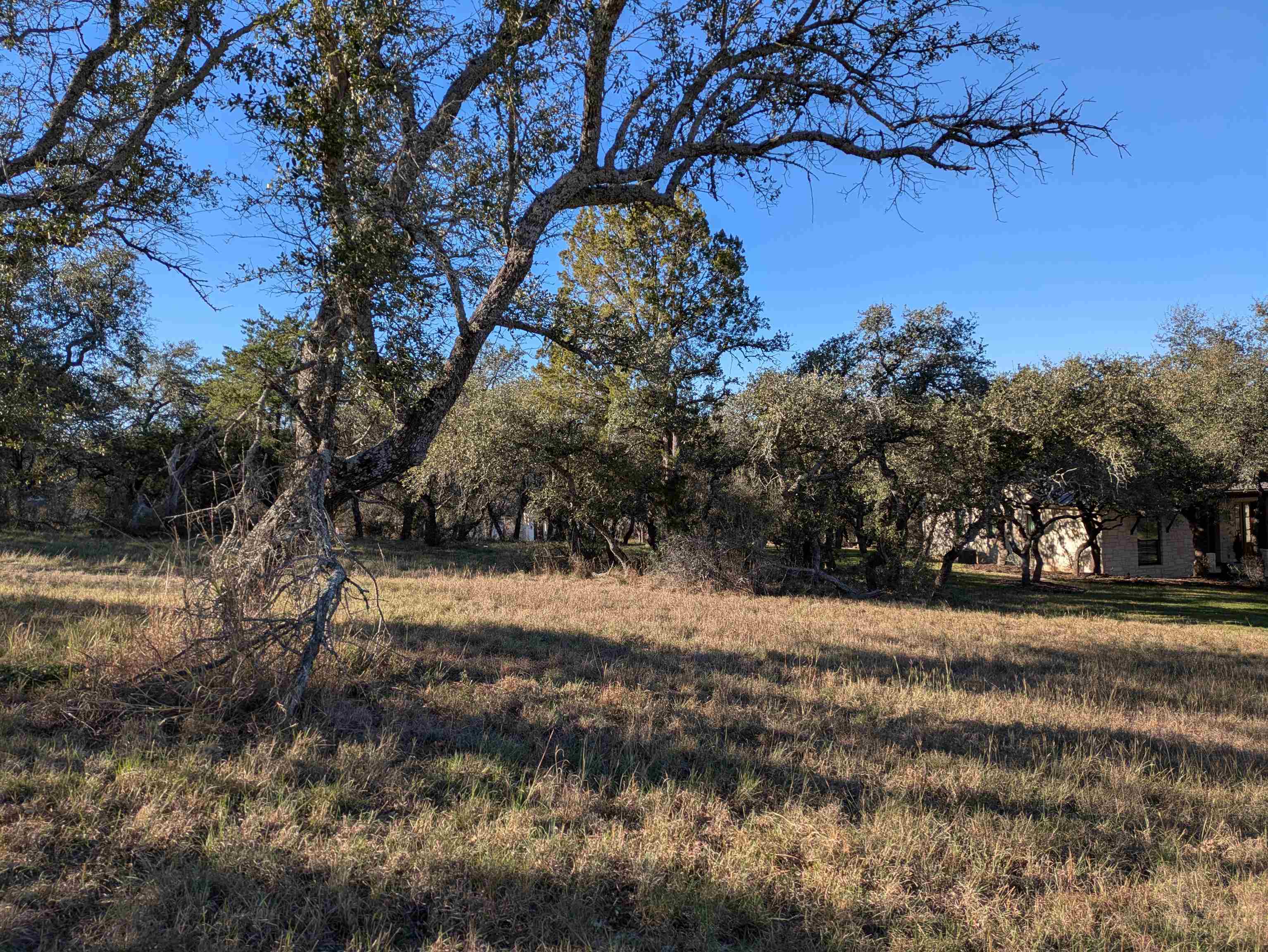 W35083 Mountain Home Road Horseshoe Bay, TX 78657 - Photo 1 of 3 a view of a yard with a tree