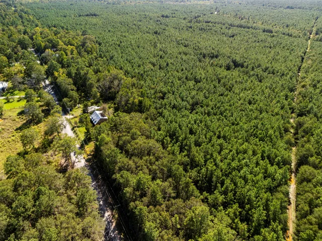 a view of a large yard with lots of bushes