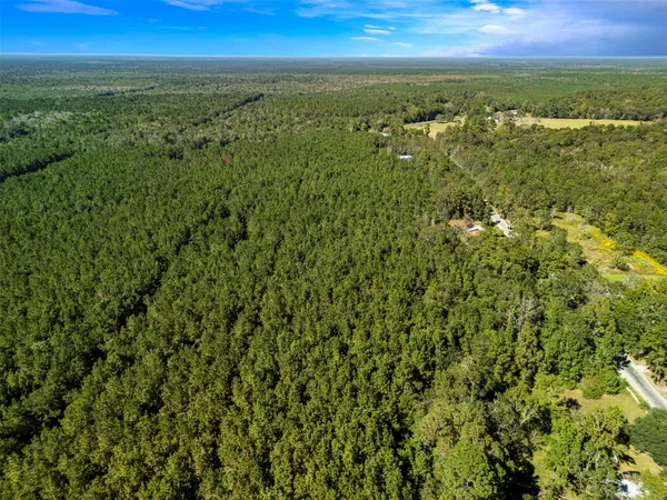 an aerial view of residential houses with outdoor space and trees