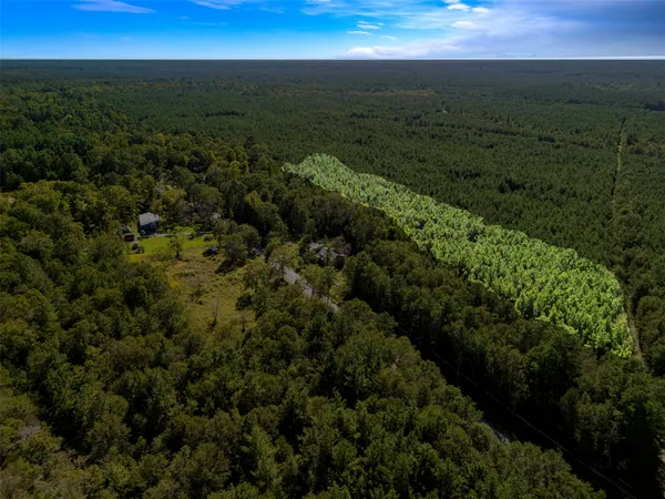 a view of a city with lush green forest