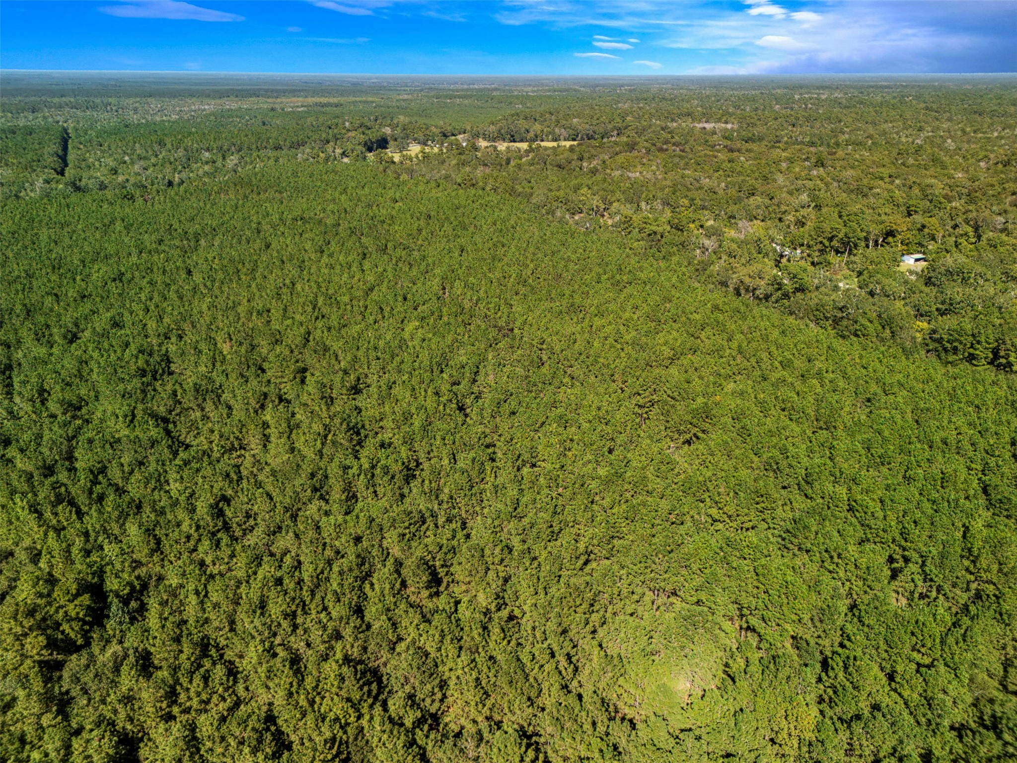 0 Fm 770 Saratoga, TX 77585 - Photo 4 of 12 a view of an ocean