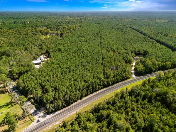 a view of a green field with a mountain in the background