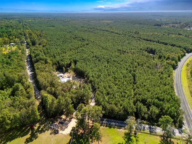 a view of a forest with a houses
