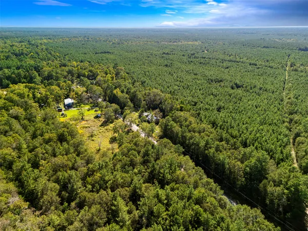 a view of a city with lush green forest