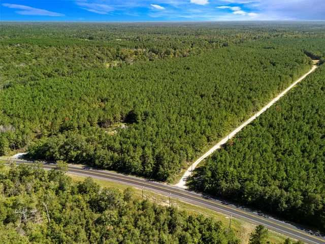 a view of a forest from a balcony