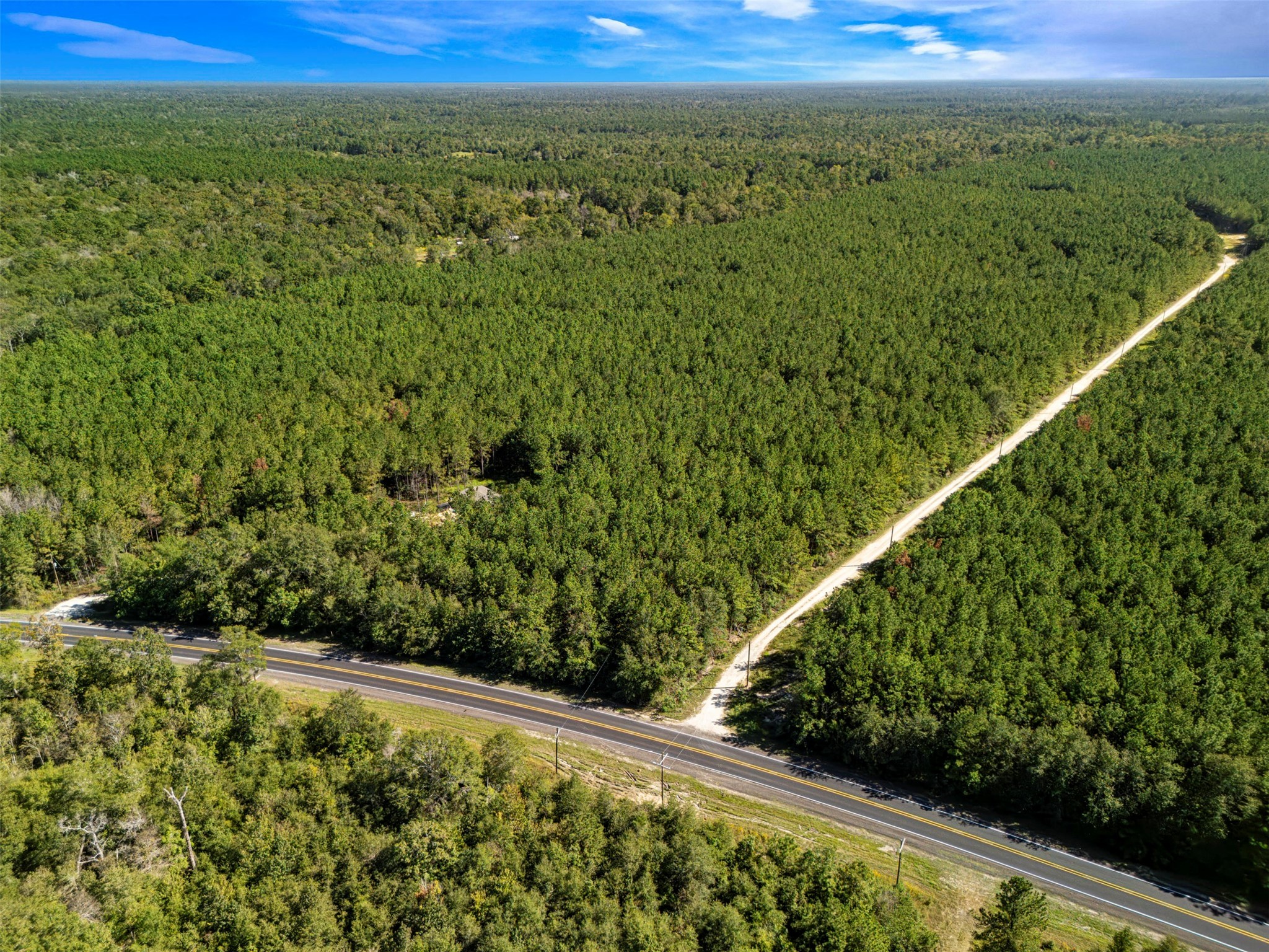 0 Fm 770 Saratoga, TX 77585 - Photo 8 of 12 a view of a forest from a balcony