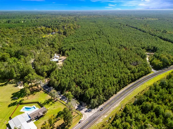 a view of a forest from a balcony