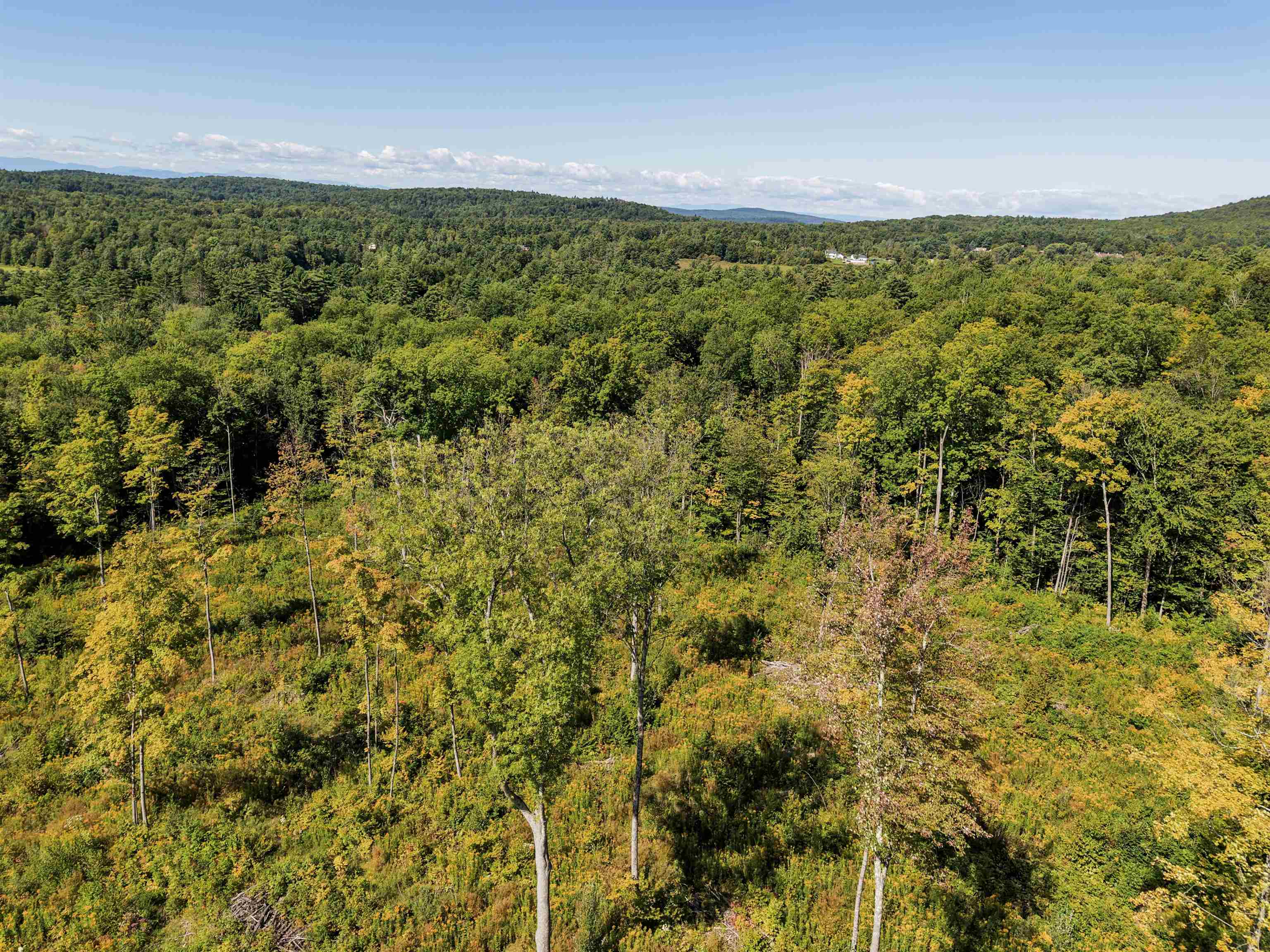 177 Cilley Hill Road, Unit 4 Jericho, VT 05465 - Photo 13 of 19 Gallery Image 13