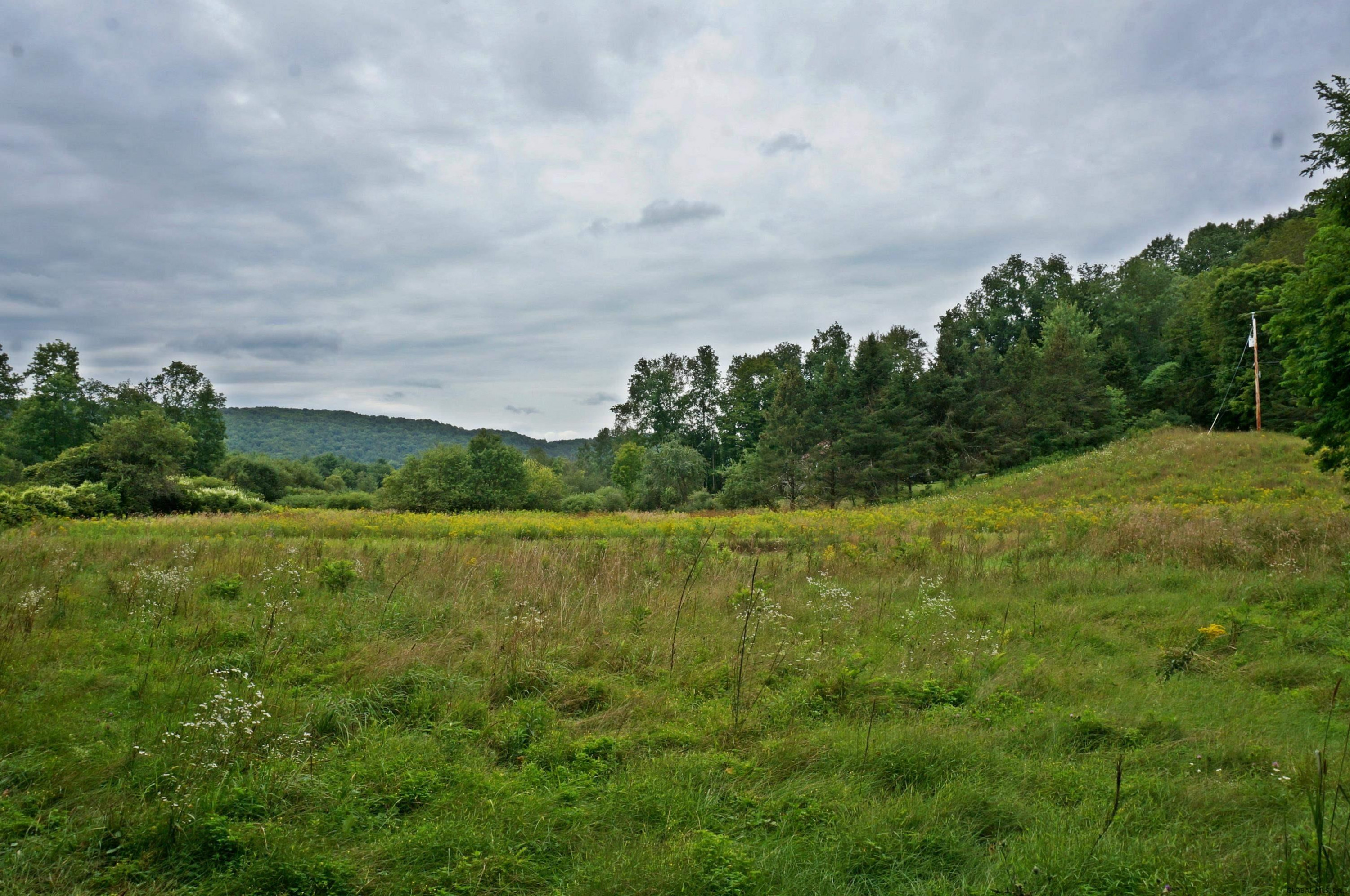 122 Middle Road Salem, NY 12865 - Photo 4 of 46 Photo 4