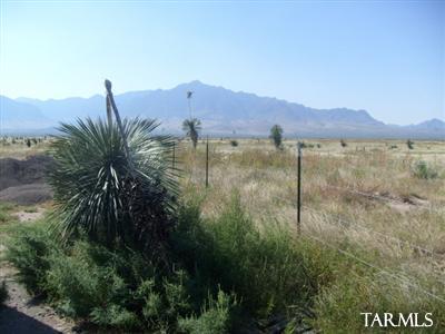 86 Silver Buckle Road Rodeo, AZ 88056 - Photo 2 of 7