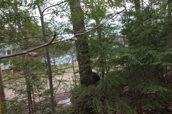 $80,000 | Lot 19-17 Northeast Pond Road, Unit 1917, Milton, NH 03851
